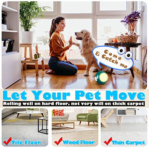 Pet Ball Toys For Dog/Cat, Active Rolling Rechargable Busy Ball, Interactive Light Up Wicked Ball With Rgb Light, Smart Pet Companion Gift To Entertain & Keep Them Healthy (Green) #TOP2