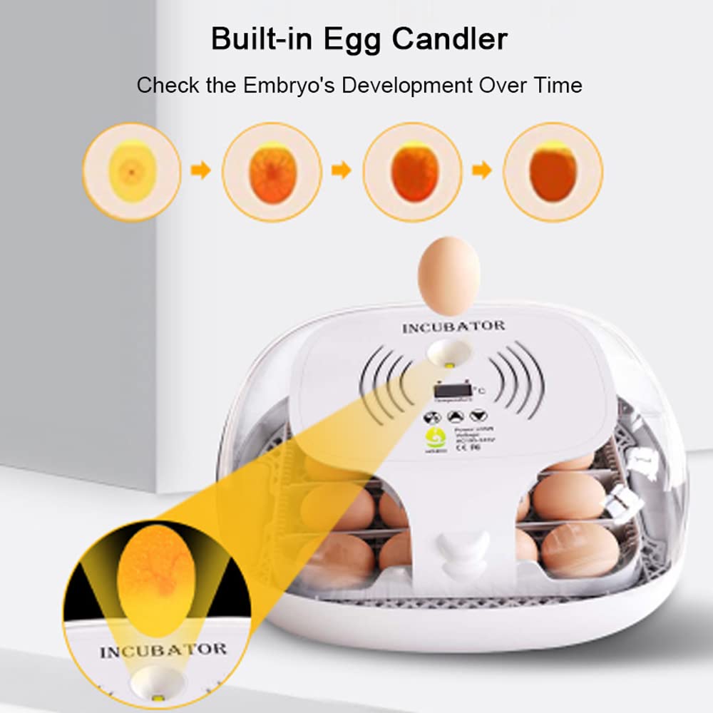 Ei-Inkubator zum Schlüpfen mit automatischer Eierdrehung, LED-Ei-Testlampe, klarer Deckel, leicht zu waschen, 16 Eier, Geflügelbrüter, Bauernhof, Vogel, Wachtel, Huhn, Geflügelfarm, Brüter, W