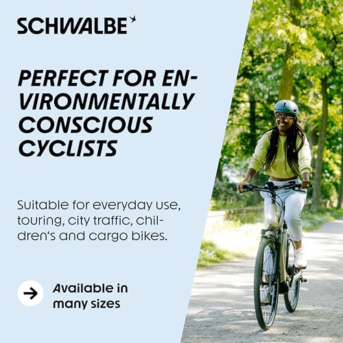 Schwalbe Motion Big Apple Tire