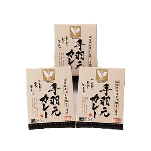 株式会社E 2 C はかた地どり 手羽元カレー 210g×3箱