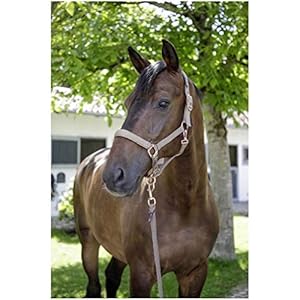 Covalliero Halster 4 kleuren