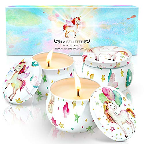 LA BELLEFÉE Bougies Parfumées Ensemble Cadeau Cire de Soja Portative Naturelle, Cadeau de Noël, la fête des Mères, la Saint Valentin