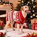 MuYaoPet Hunde- und Besitzer-Kleidung, für kleine und mittelgroße und extra große Hunde/Damen/Herren/Besitzer, passende Pullover separat (nur für Haustiere, Größe M)