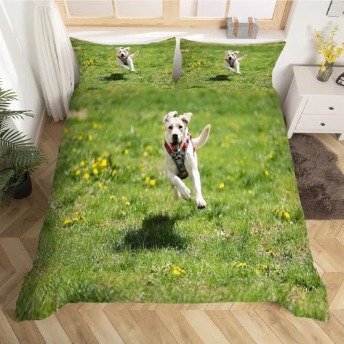 Parure de lit Jack Russel Terrier 240x260 cm douce avec fermeture éclair - 3
