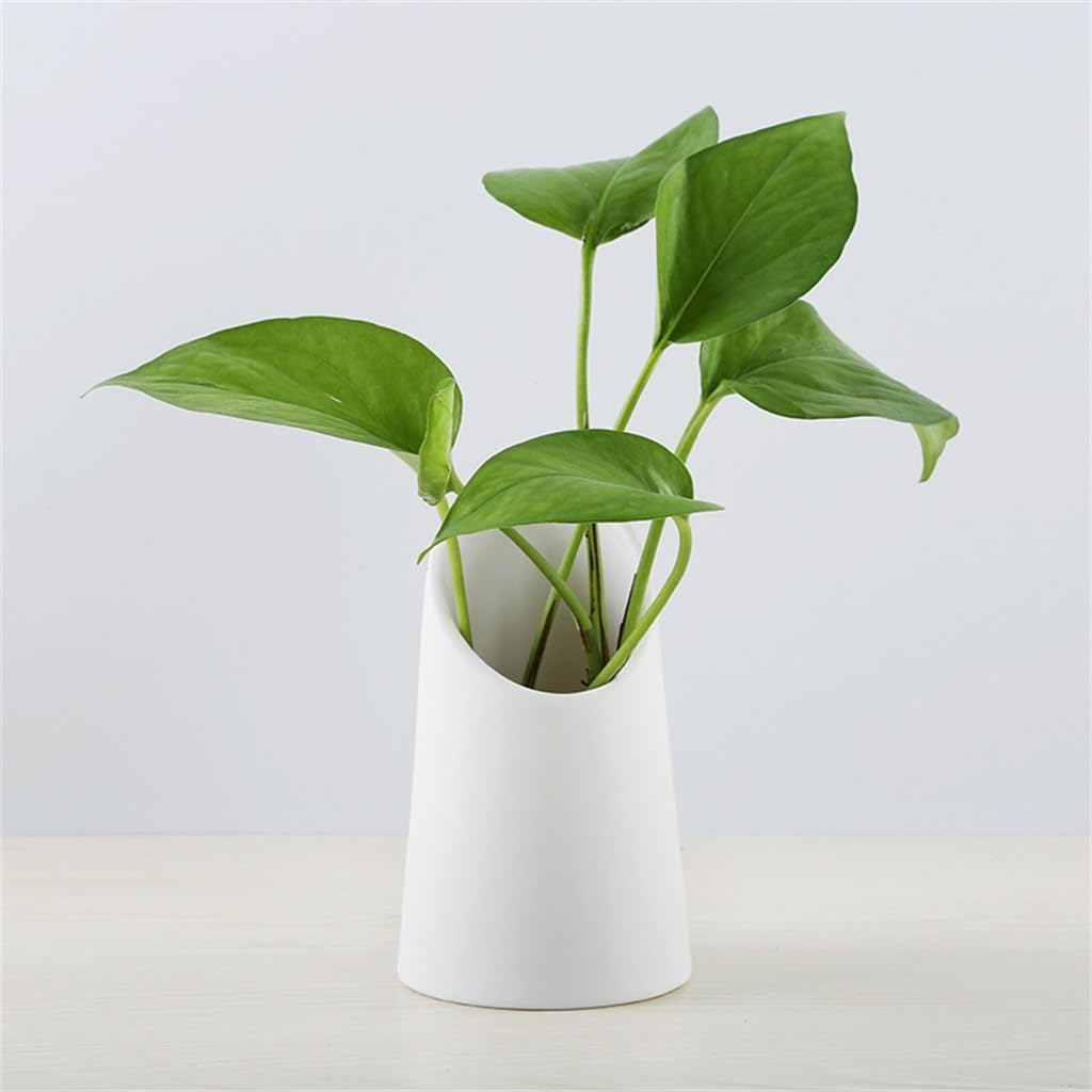 Ceramic Home Crafts Flower Ornaments Flowers Inserted and Elegant White Vase
