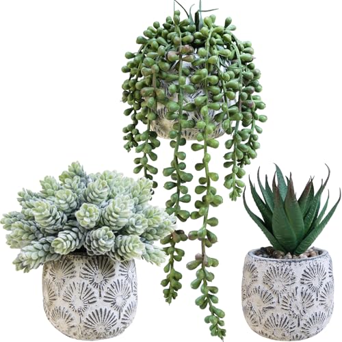 Winlyn Set of 3 Artificial Potted Succulent Plants Faux Aloe Hops String of Pearls in Rustic...