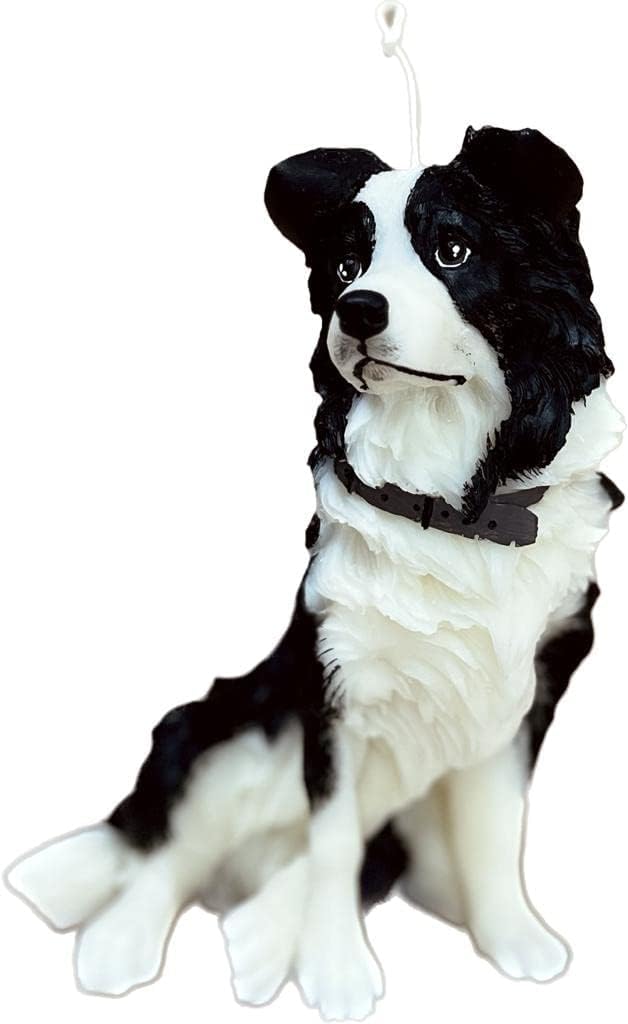 YMAR - Decorative and aromatic candle in the shape of a Border Collie Statue Realistic Sculpture Carved Animal Collectible Figurine for Home (Black and White)