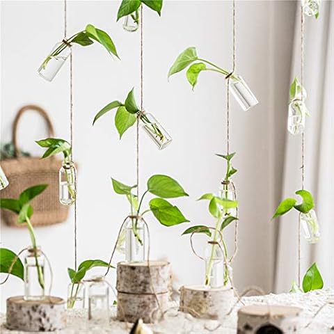 4PCS Terrarium Container Flower Planter, Wall Hanging Glass Planter Vase, Floral Vases for Hydroponic Plants Home Garden Decor Cover