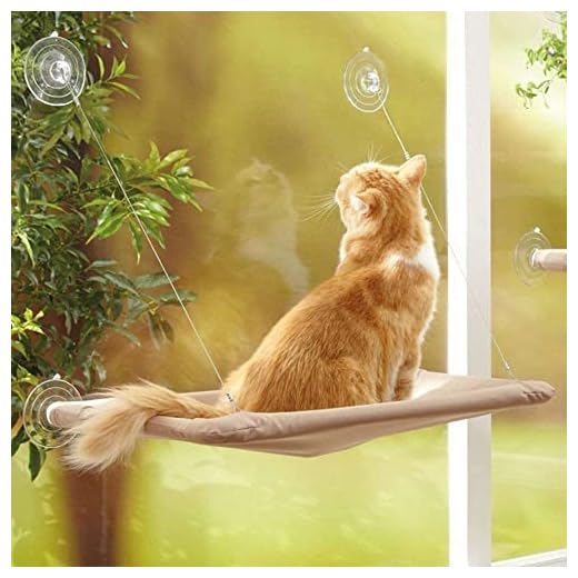 MMBOX Kattenbed voor ramen, katten, ramen, hangmat, ruimtebesparend design met 1 kattenspeelgoed, 1 extra zuignap, voor katten