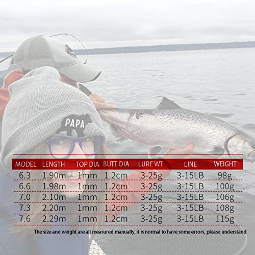 Canne surfcasting et carpe compacte pour session de pêche itinérante - 4