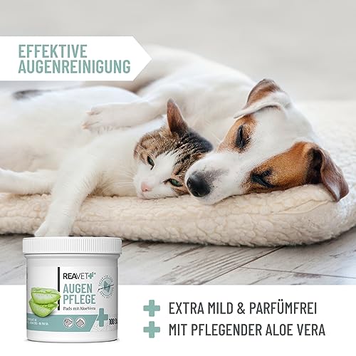 ReaVET Augenpflege Hund 100 Stück – Augenpads Hund I Sanfter Augenreiniger für Hunde, Milde & Schonende Reinigungstücher mit Augentrost, Tränenfleckentferner Hund ohne Reizen, Augen Reinigungspads