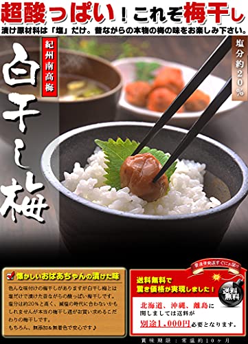 どうなの課 日本一すっぱい食べ物はどれ オードリー春日が検証