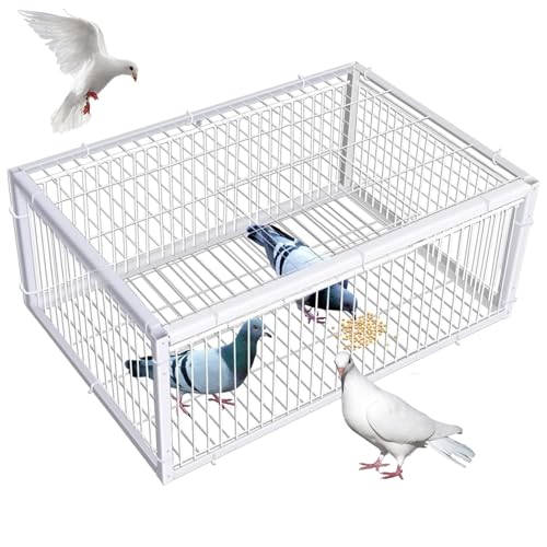 鳥捕り鳩かご 一方向脱走防止設計 金属製 鳥かご 鳩罠 鳩かご 人道的 鳥には無害 60/100cm 入口は4か所 鳥 ケージ アニマルトラップ 屋外 組み立て簡単 鳥捕獲器 天窓付き ハト、オウム、鳥に適しています、農場、果樹園、庭園(100*60*26