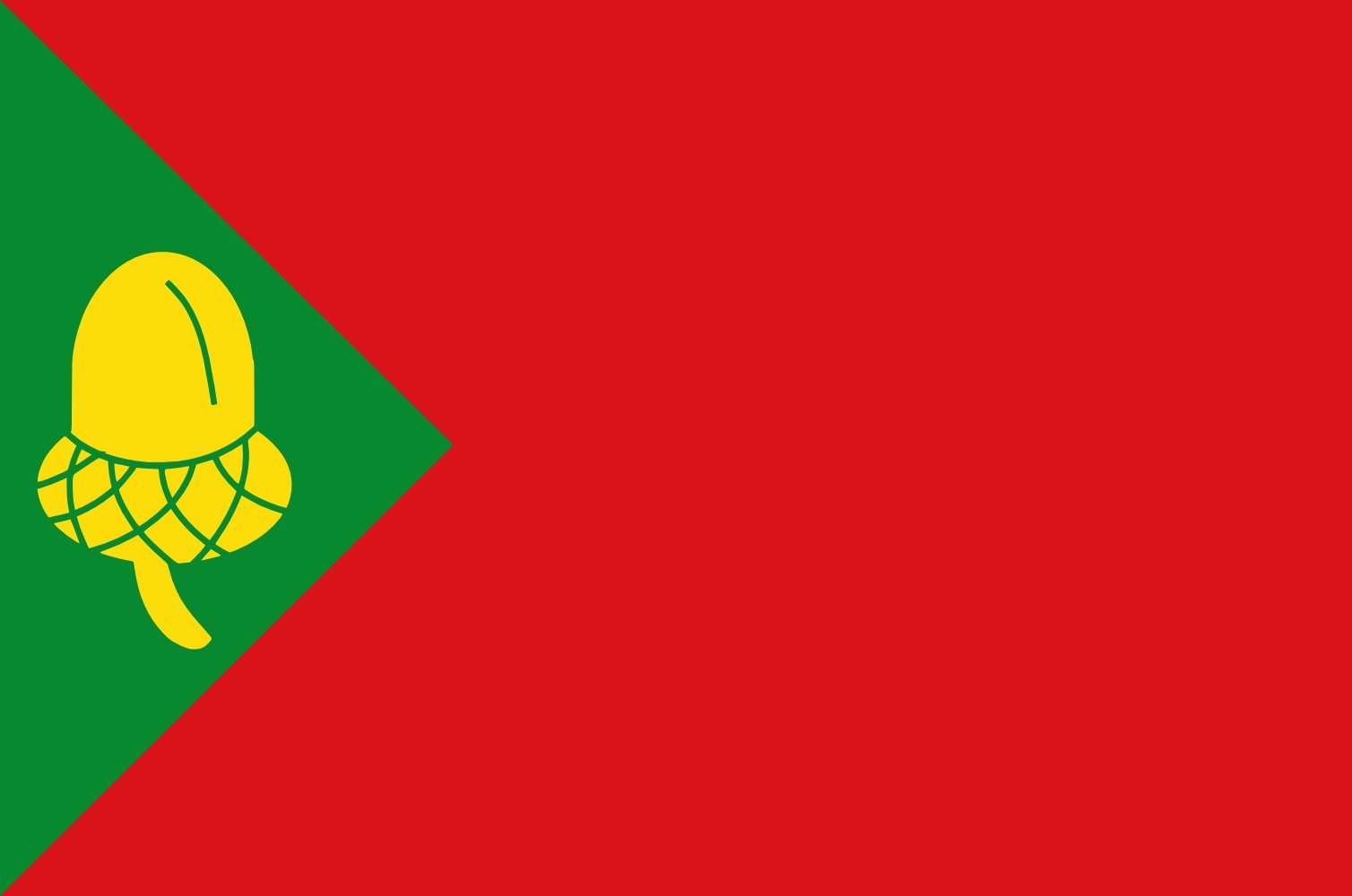 Drapeau Noordburgum vlag grand format pour mât de village
