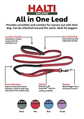 Image of HALTI Active Leash - Award-Winning Bungee Dog Leash, Shock-Absorbing, All-in-One Neoprene Padded Belt & Lead, Perfect for Running & Training with Medium & Large Dogs (Size Large, Red) | Award-Winning Bungee Dog Leash | Shock-Absorbing Anti-Pull Leash | Padded Belt | Running & Training Medium & Large Dogs
