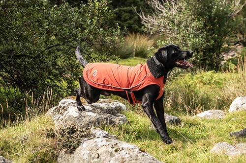 Capa impermeable de perro en Cordura de alta resistencia Mountain Paws L 6