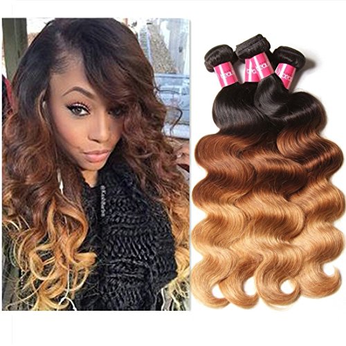 Sunber 10A Ombre Brazilian Hair Bundles With Closure Body Wave Human Virgin Wave hair bundles With 4¡Á4 Lace Closure Free Part 3 Tone T1B/4/27 Color