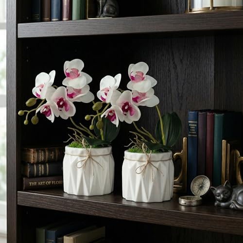 Image of Dekorly Artificial Lavender Plant in White Pot, 18cm - Realistic Faux Flower Arrangement for Home & Office Decor (Set of 1) (2, White Orchid)