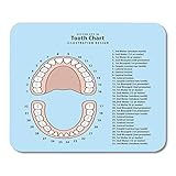 Emvency Mouse Pads Pink Education Tooth Chart Number Infographic on Blue Dental Human Anatomy Mousepad 9.5' x 7.9' for Laptop,Desktop Computers Accessories Mini Office Supplies Mouse Mats