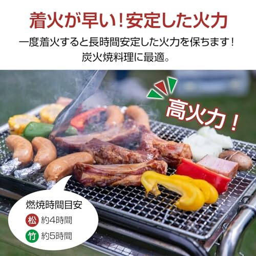 サンパーシー オガ備長炭 松 10kg