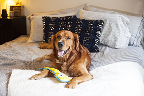 Brinquedo Cachorro Ultrarresistente Invincibles Tartaruga Marinha