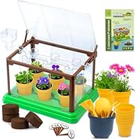 BEIGEMEI Kids Plant Growing Kit, Mini Garden Greenhouse Plant Starter Kit, Flower Growing Kit & Terrarium Kit for Kids