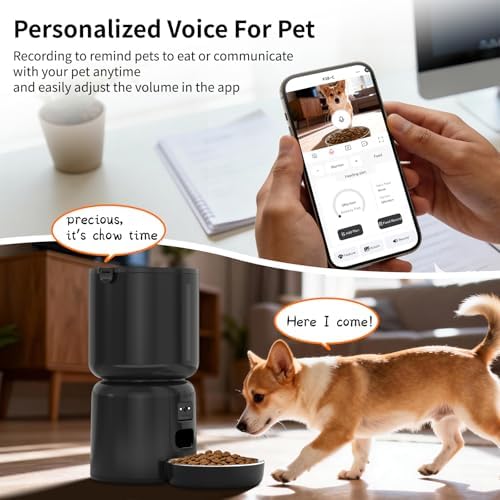 Automatic Cat Feeder and Waterer Set — packaging and what arrives in the box