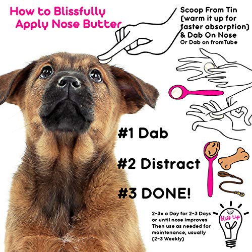 Image of The Blissful Dog Mixed Breed Unscented Nose Butter - Dog Nose Butter, 0.15 Ounce