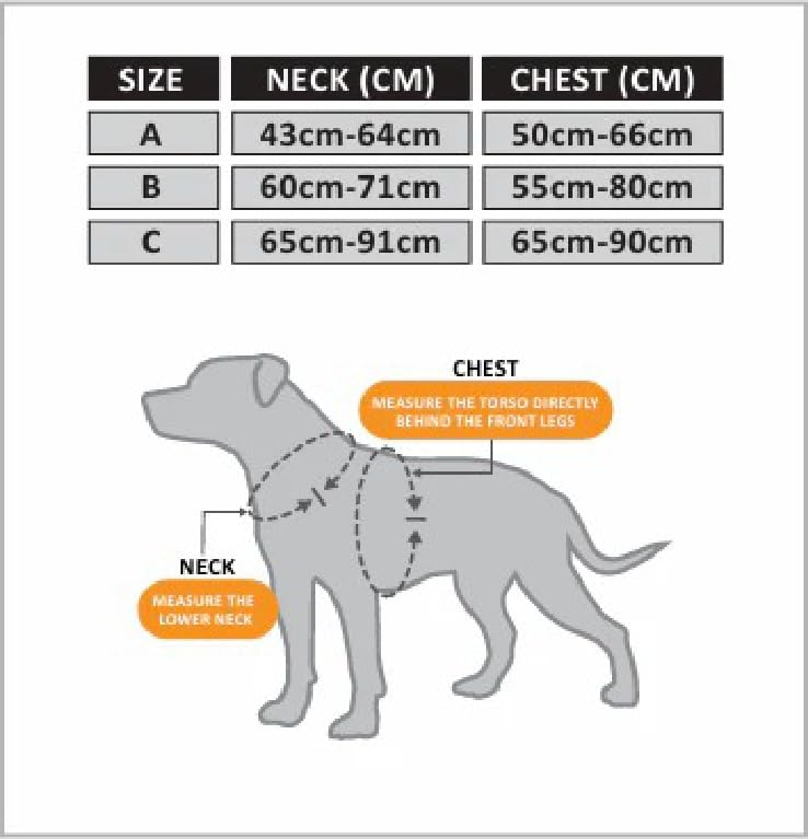 Bullyion Original Equipment Trinity Geschirr für stark ziehende Hunde mit Softcell-Polsterung, Lockforce-Schnallen, 3 Leinen-Befestigungspunkte, Hundetrainer Wahl, für alle Rassen, Orange Marmelade