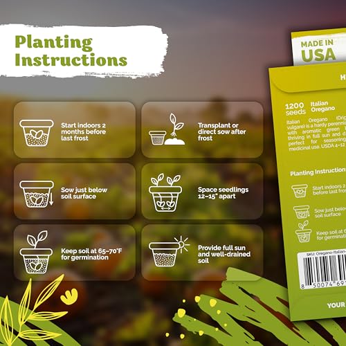 KVITER 1200 Italian Oregano Seeds for Planting (Origanum vulgare) - Majoram, Perennial Pizza Herb, Spicy Flavor Perfect Fresh & Dried - Non GMO & Heirloom Herb Seeds for Outdoor & Indoor Garden, Pots - Image 3