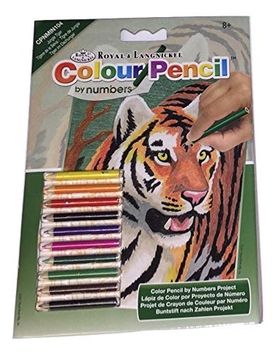 Royal & Langnickel Colour Pencil by Numbers ~ Jungle Tiger