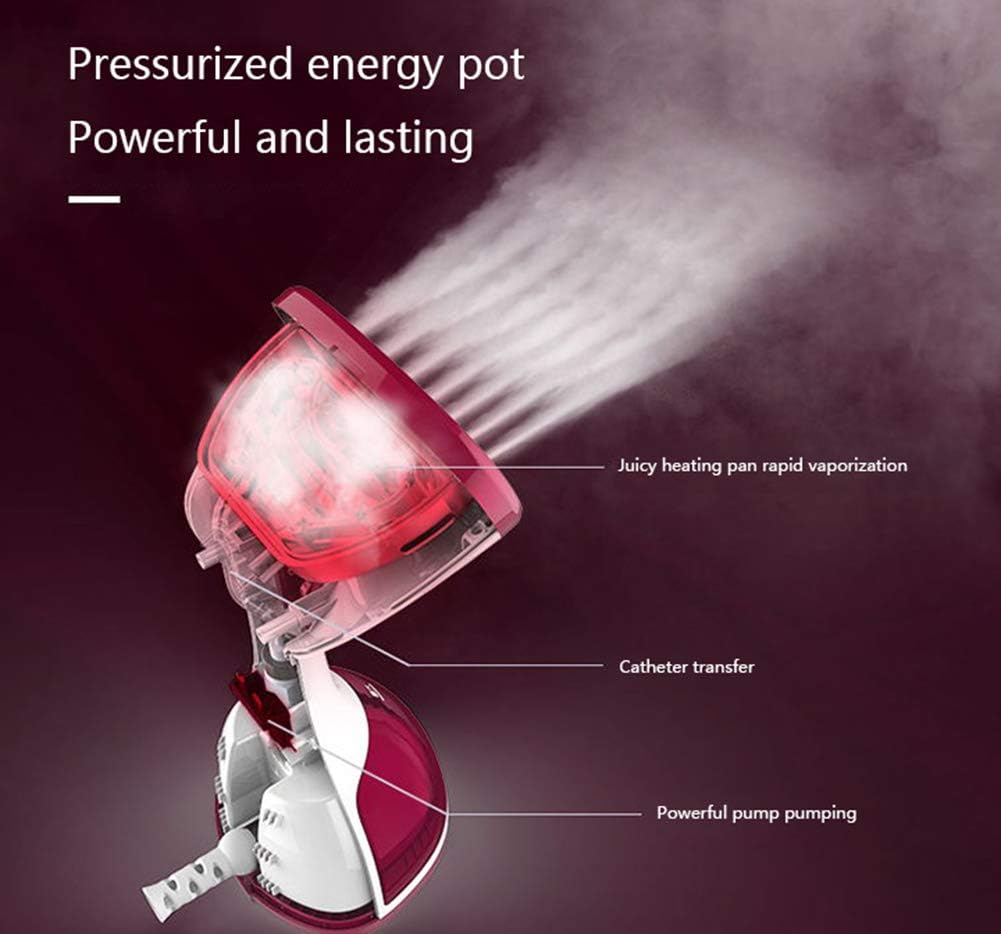 Laundry Steamer Travel Kit Steamer with Automatic Shutdown Safety Protection Compact Portable Steamer Equipped with Ultra-fast Heating Elements Portable Mini