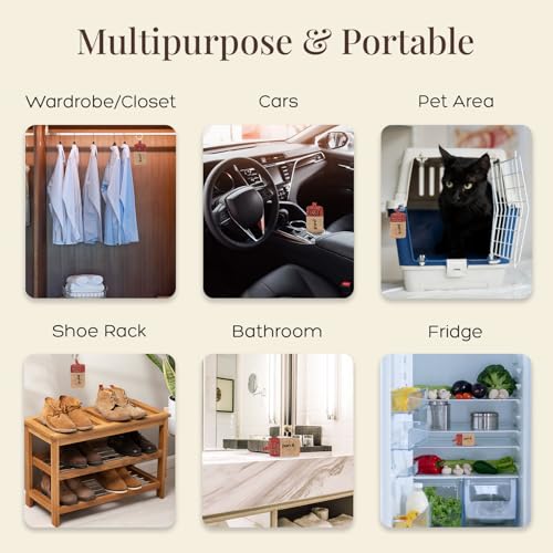 Image of Activated Charcoal Air Purifier, Non-Electric, Coconut Shell Charcoal, Odor & Moisture Absorber, Air Freshener for Home, Car, Reusable & Long-Lasting, 250 Gm (Rustic Red)