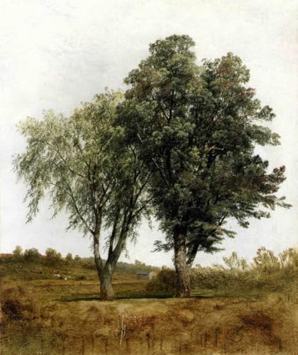 Peinture à l'huile sur toile pour remplacer les posters sans âme par de l'art