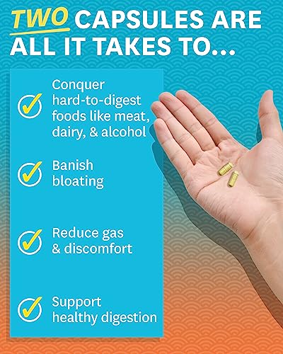 Zenwise Health NO Bloat Probiotics for Women and Men Digestive Health with Ginger, Dandelion, and Lactase, Digestive Enzymes for Gas and Bloating Relief - Vegan Water Retention Pills - 48 CT - Thumbnail 2