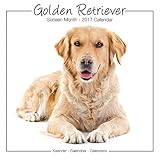 Golden Retriever Calendar - Calendar Golden Retriever - Golden Retrievers Calendar - Dog Breed Calendars 2017 - Dog Calendar - Calendars 2016 - 2017 wall calendars - 16 Mth Calendar by Avonside Studio