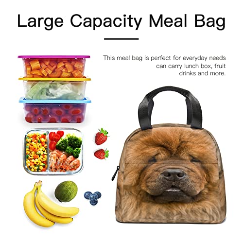 Chow Chow Portrait Lunch Tote Bag Eenvoudig Ontwerp voor Vrouwen Mannen Chow Herbruikbare Handvat Geïsoleerde Lunchbox… - Afbeelding 7
