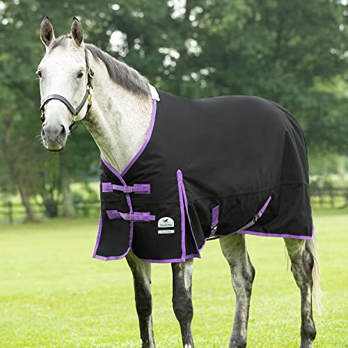 Smartpak Classic 600D Turnout Horse Blanket-78-Medium (220G)-Black/Purple #TOP2