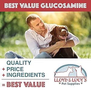 Lloyd & Lucy’s Hip and Joint Supplement for Dogs – Chewable Multivitamin with Glucosamine, Chondroitin, MSM and Vitamin C – Healthy Liver Flavored Treat Pets Will Love – 180 Ct Tablets