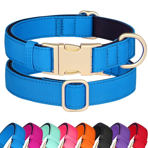 Collier chien anti irritation rembourré léger et solide bleu M