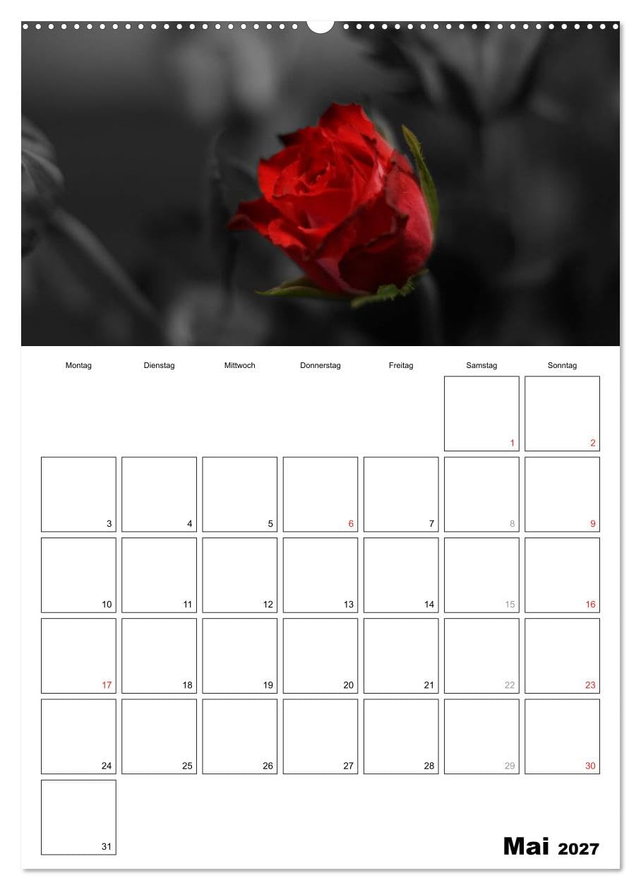 CALVENDO - schwarz/weiß trifft farbe - DEIN TERMINKALENDER/Planer (Wandkalender 2027 DIN A2 hoch), Monatskalender: Ein ausgewählter Bereich von Farbe gibt ausgewählten schwarz/weiß Fotos den besonde