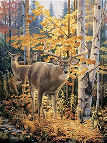 CaptainCrafts New DIY Oil Painting Paint by Numbers kit 16x20  for Adults Beginner Children, Creative Digital Paintworks Kids Linen Canvas - Autumn Forest elk Deer (with Frame)