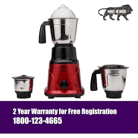 blueberry mixer grinder 550 watt price