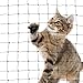 WHQLANG Cat Balcony Nets,10×13ft Carbon Steel Reinforced Anti-Fall Netting for Pets, Cat Safety Net Mesh Fence, Enduring Small Catio for Apartment Balcony Protection