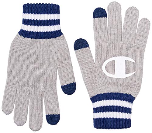[チャンピオン] 手袋 ニット 662-1037 グレー 日本 フリー (FREE サイズ)