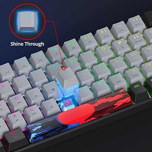 Clavier de jeu mécanique 60% compact filaire RVB retroéclairé 68 Dolch - 4