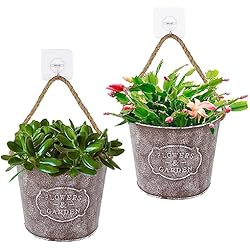 Maceteros Pared Jardin BOFUNX 2 Macetas Pared Maceteros Colgantes de Metal Jardineras Vintages para Colgar Decoración Interior Exterior Balcón Jardín Patio Pared Terraza para Flores y Plantas