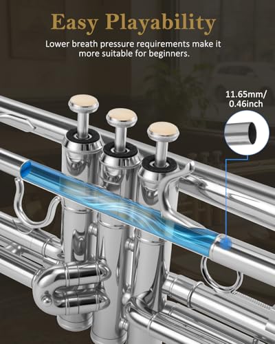 STRICH Bb Standard-Trompeten-Set für Anfänger, Blechblasinstrument für Schüler mit Hartschalenkoffer, Reinigungsset, Mundstücken 7C und 3C, Handschuhen – STR-1S, Silber