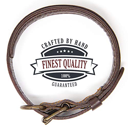 Logical Leather Padded Dog Collar - Best Full Grain Heavy Duty Genuine Leather Collar - Brown - Medium #TOP5