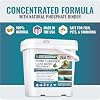 Pond Clear Water Treatment - 16 Pack for 8 Months of Pond Cleaner Supply - Pond Clarifier for Outdoor Ponds 100% Natural Pond Bacteria Packets - Made in The USA - Safe for Fish, Pets, and Swimming